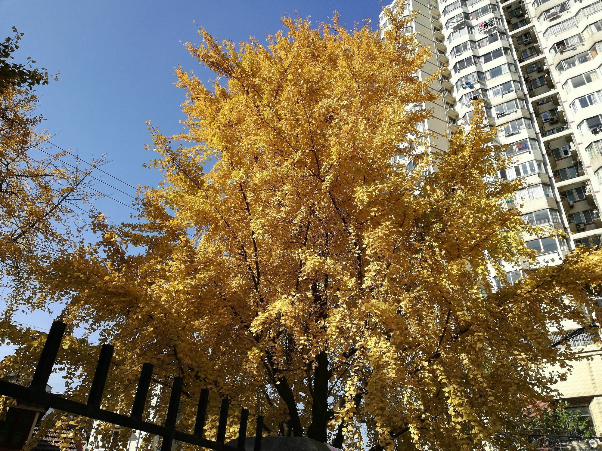 Shanghai Chi Chen Boutique Hotel Екстер'єр фото